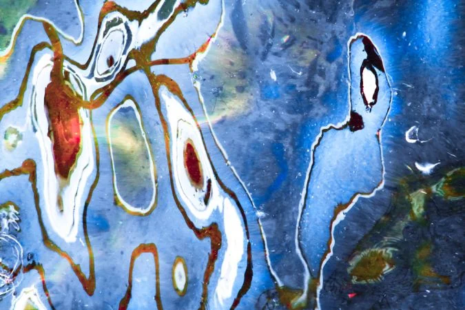»Kunst und Wissenschaft«